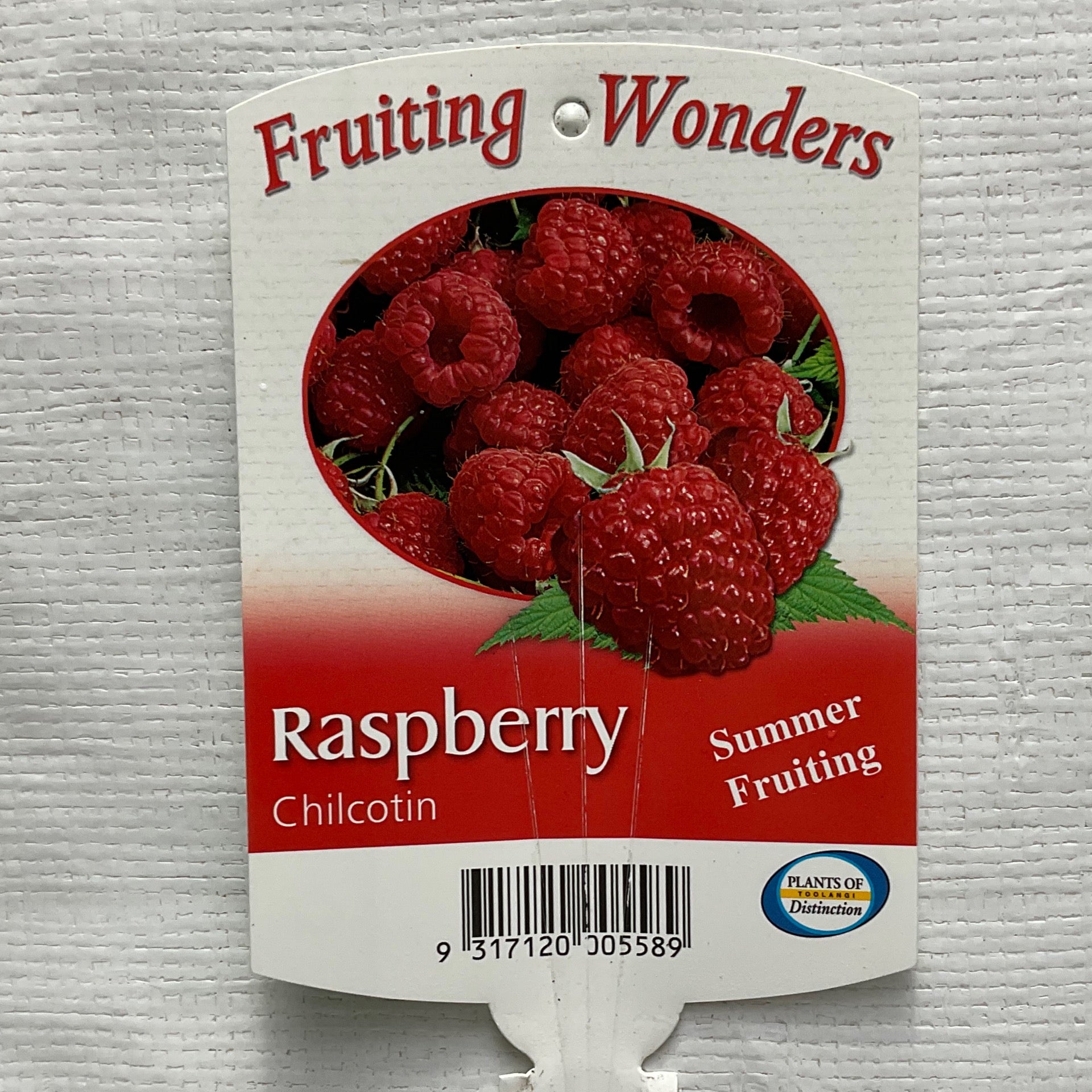 Raspberry Chilcotin | Formosa Gardens Nursery, Ballarat