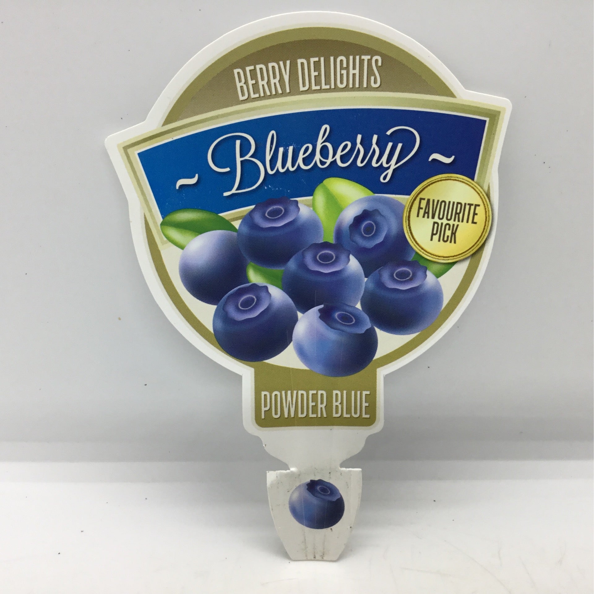 Blueberry powder blue | Formosa Gardens Nursery, Ballarat