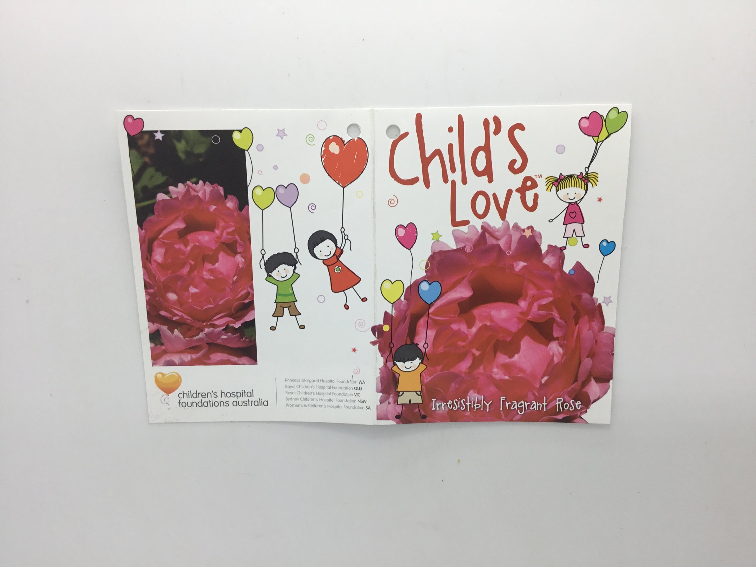 Child’s Love Bush Rose Formosa Gardens Nursery, Ballarat