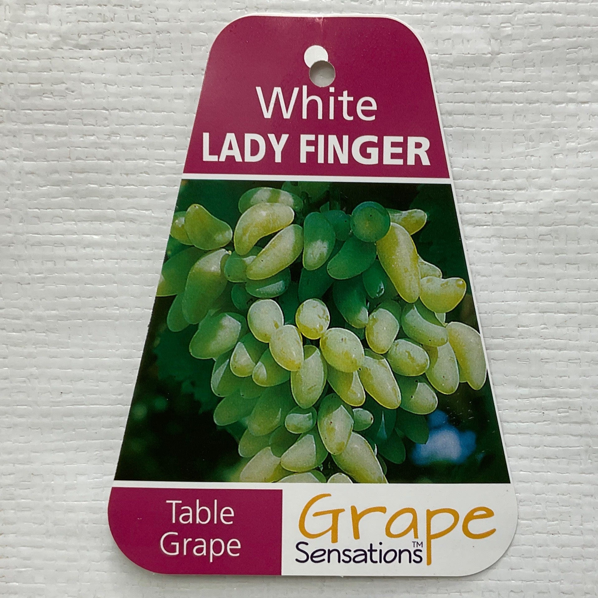 White Lady Finger Grape Formosa Gardens Nursery, Ballarat
